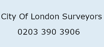 City Of London Surveyors Logo